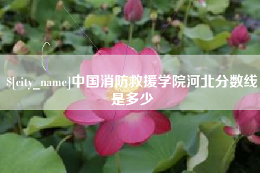 滁州中国消防救援学院河北分数线是多少