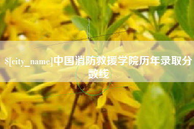 滁州中国消防救援学院历年录取分数线