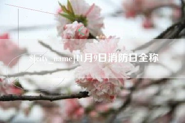 滁州11月9日消防日全称