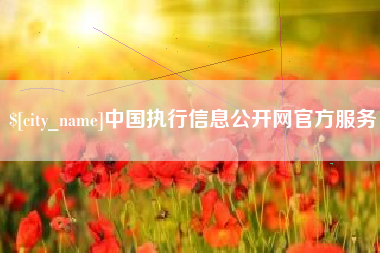 滁州中国执行信息公开网官方服务
