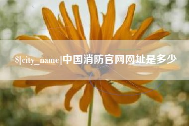 滁州中国消防官网网址是多少