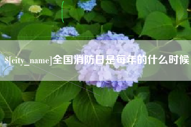 滁州全国消防日是每年的什么时候