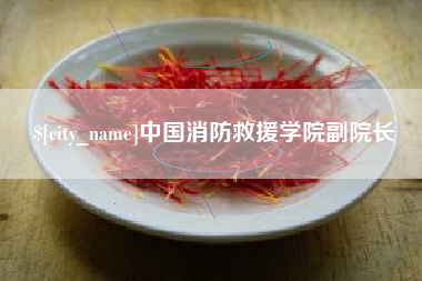 滁州中国消防救援学院副院长