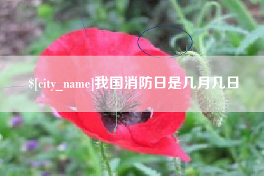 滁州我国消防日是几月几日