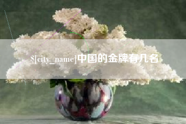 滁州中国的金牌有几名