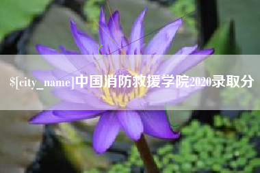 滁州中国消防救援学院2020录取分