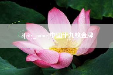 滁州中国十九枚金牌