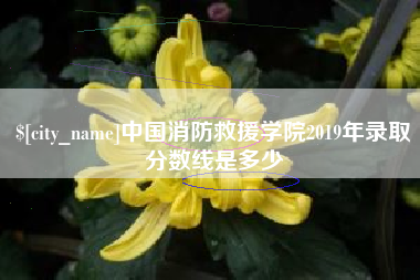 滁州中国消防救援学院2019年录取分数线是多少