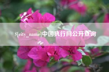 滁州中国执行网公开查询