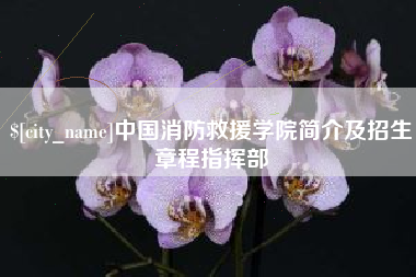 滁州中国消防救援学院简介及招生章程指挥部