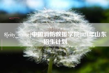 滁州中国消防救援学院2021年山东招生计划