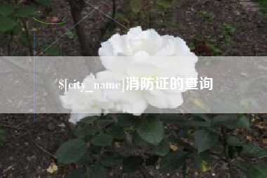 滁州消防证的查询