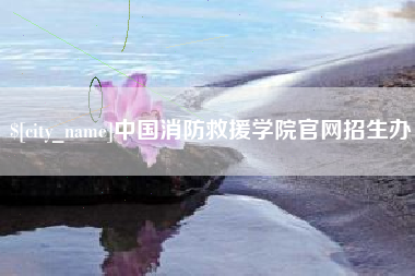 滁州中国消防救援学院官网招生办