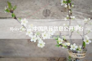滁州中国执行信息公开平台