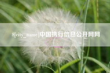 滁州中国执行信息公开网网