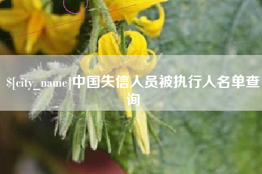 滁州中国失信人员被执行人名单查询