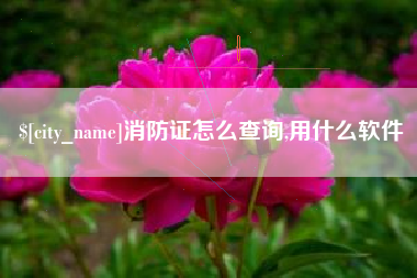 滁州消防证怎么查询,用什么软件