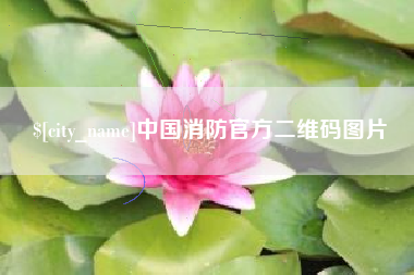 滁州中国消防官方二维码图片