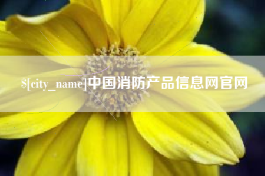 滁州中国消防产品信息网官网