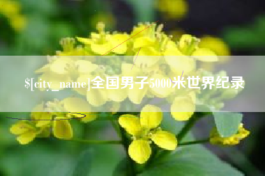 滁州全国男子5000米世界纪录