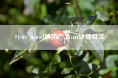 滁州消防产品cccf认证目录