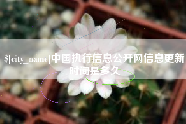 滁州中国执行信息公开网信息更新时间是多久