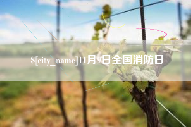 滁州11月9日全国消防日
