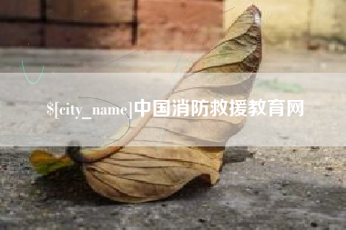 滁州中国消防救援教育网