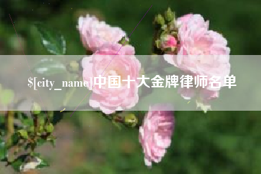 滁州中国十大金牌律师名单