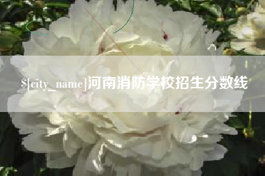 滁州河南消防学校招生分数线