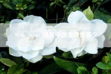 滁州现在中国金牌是多少
