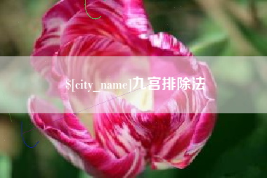 滁州九宫排除法
