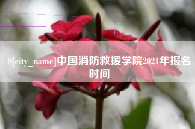 滁州中国消防救援学院2021年报名时间