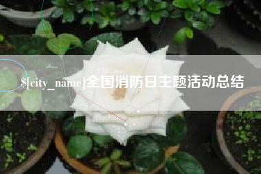 滁州全国消防日主题活动总结