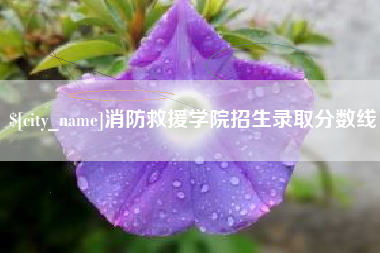 滁州消防救援学院招生录取分数线