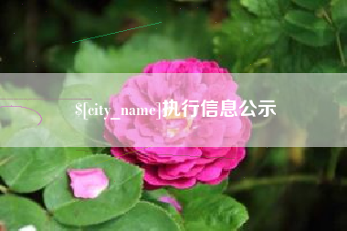 滁州执行信息公示