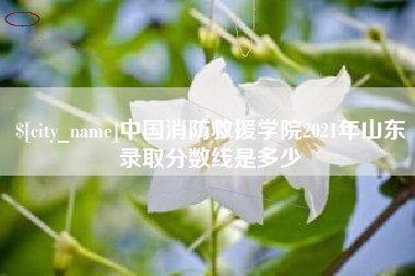 滁州中国消防救援学院2021年山东录取分数线是多少