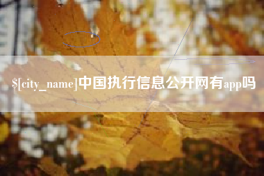 滁州中国执行信息公开网有app吗