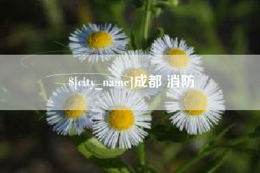 滁州成都 消防