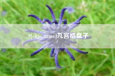 滁州九宫格盘子