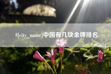 滁州中国有几块金牌排名