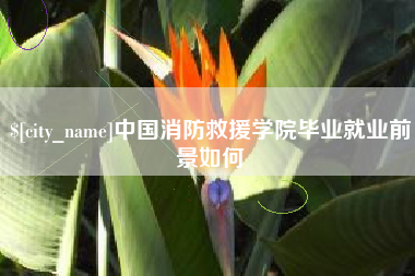 滁州中国消防救援学院毕业就业前景如何