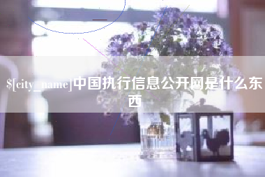 滁州中国执行信息公开网是什么东西