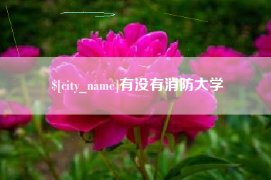 滁州有没有消防大学