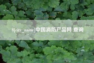 滁州中国消防产品网 查询