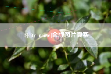 滁州金牌图片真实