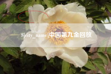 滁州中国第九金回放
