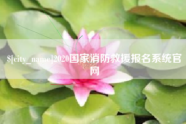 滁州2020国家消防救援报名系统官网