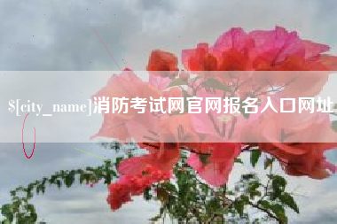 滁州消防考试网官网报名入口网址