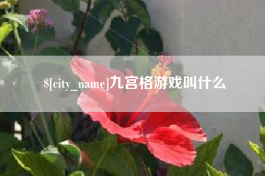 滁州九宫格游戏叫什么
